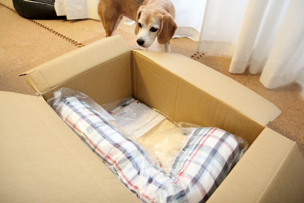 クッションが届いた