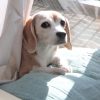 空豆さん10歳の誕生日
