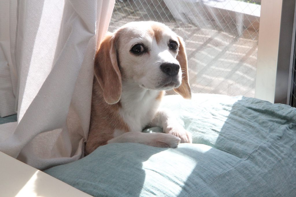 10歳の空豆さん