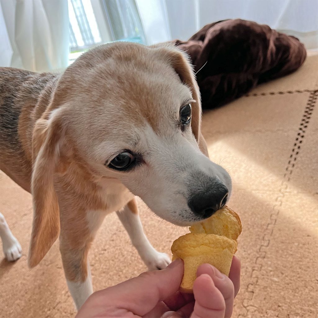 食べる空豆