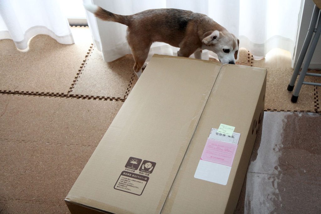 段ボール箱が届いた