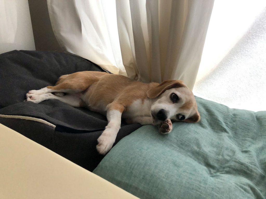 たいくつ