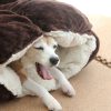 しまホイ的クッションその後