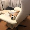 リクライニングチェア