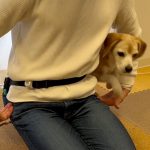 腕の輪っかをぐるぐると