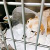 空豆さん緊急入院（その5）